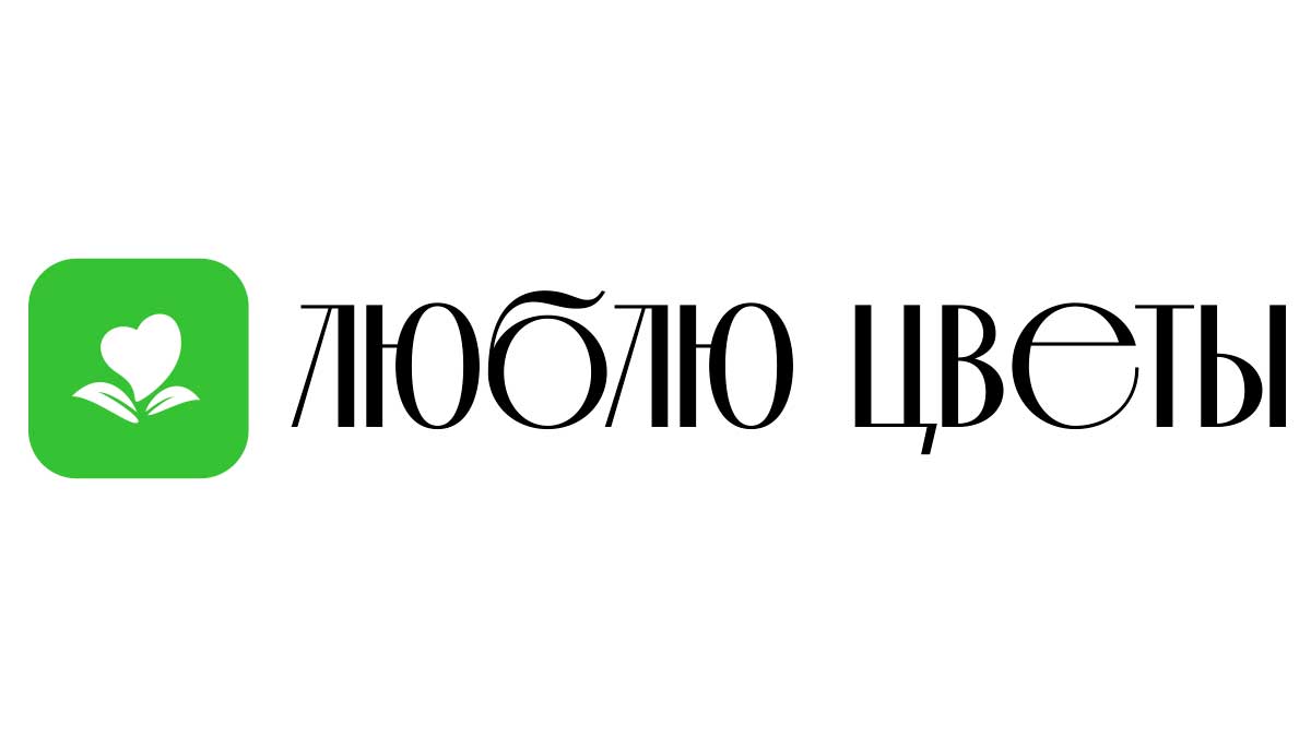 Доставка цветов - Каменногорск | Купить цветы и букеты - Недорого -  Круглосуточно | Заказ на дом от интернет-магазина «Люблю цветы»